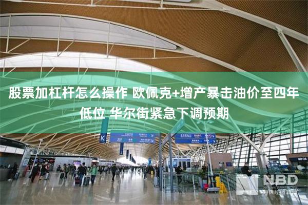 股票加杠杆怎么操作 欧佩克+增产暴击油价至四年低位 华尔街紧急下调预期