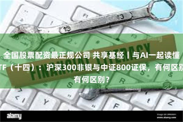全国股票配资最正规公司 共享基经丨与AI一起读懂ETF（十四）：沪深300非银与中证800证保，有何区别？