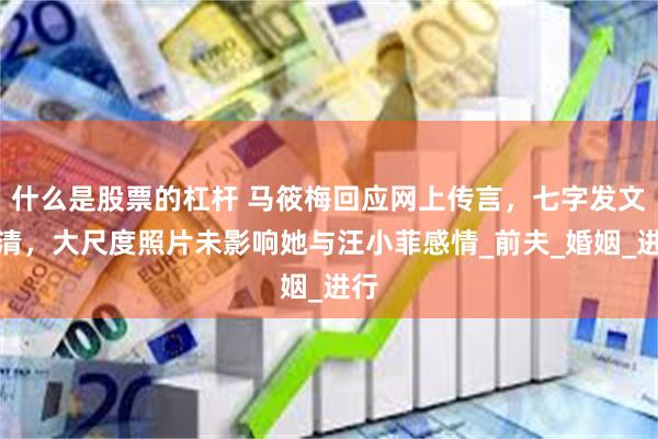 什么是股票的杠杆 马筱梅回应网上传言，七字发文澄清，大尺度照片未影响她与汪小菲感情_前夫_婚姻_进行