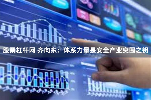 股票杠杆网 齐向东：体系力量是安全产业突围之钥