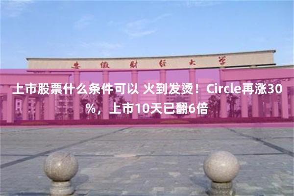 上市股票什么条件可以 火到发烫！Circle再涨30%，上市10天已翻6倍