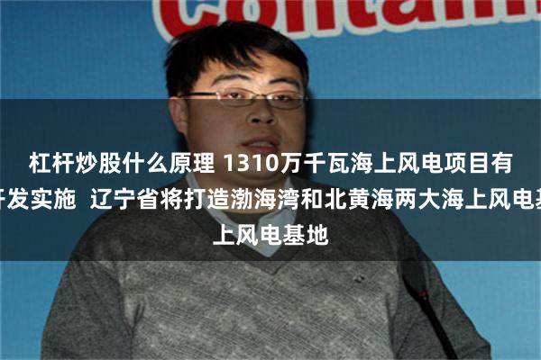 杠杆炒股什么原理 1310万千瓦海上风电项目有序开发实施  辽宁省将打造渤海湾和北黄海两大海上风电基地