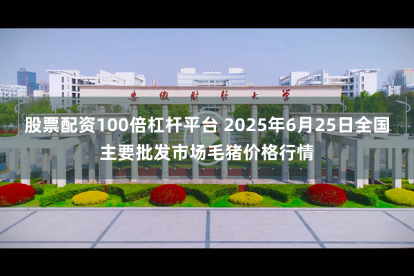 股票配资100倍杠杆平台 2025年6月25日全国主要批发市场毛猪价格行情